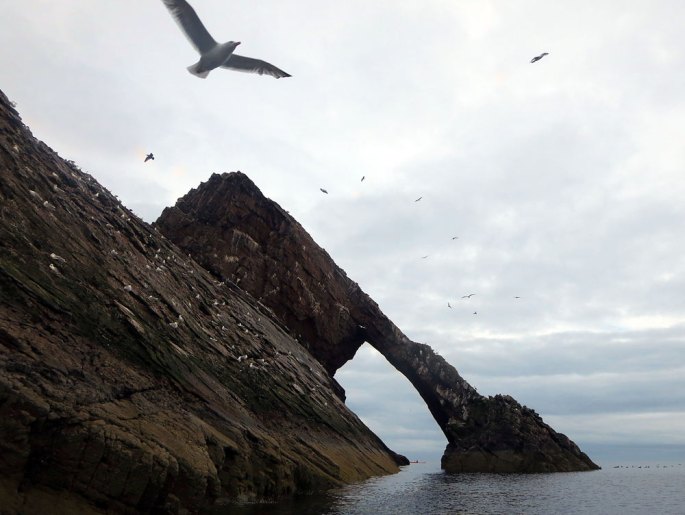 0723-7-bow-fiddle-rock
