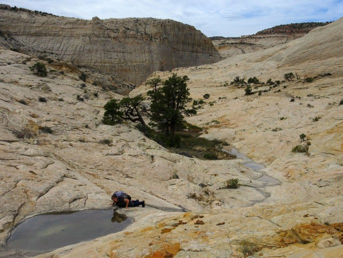 1003-img_1135-bowington-trail-start