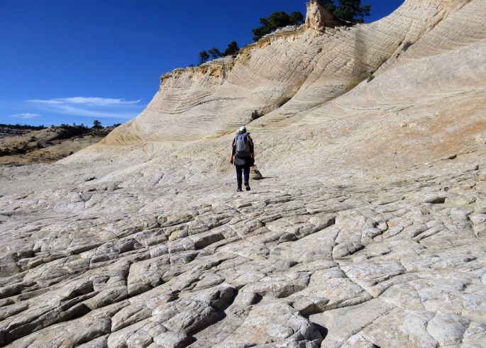 1003-img_1148-bowington-trail