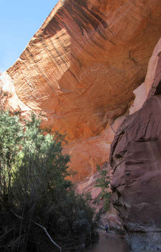 1007-img_1242-pano-harris-wash