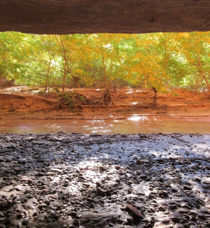 1007-img_1247-harris-wash