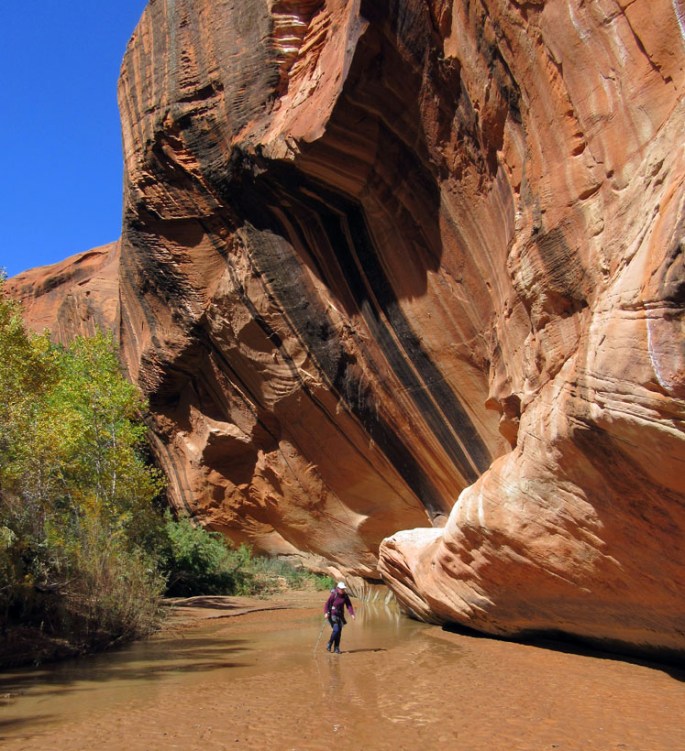 1007-img_1257-harris-wash-return