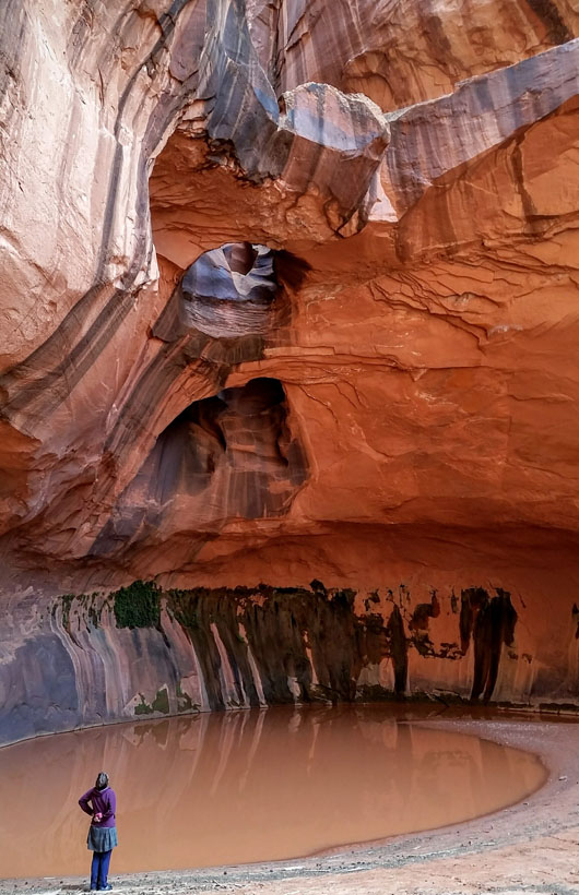 1008-img_1315-neon-20161008_112721