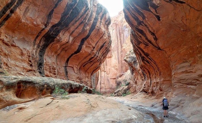 1008-img_1374-20161008_161452-choprock-subway