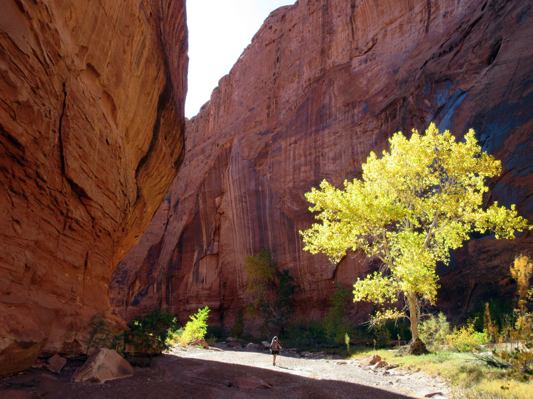 1017-img_1726-wolverine-canyon