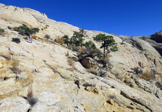 1005-IMG_2417-down-into-death-hollow