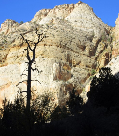 1006-IMG_2445-death-hollow