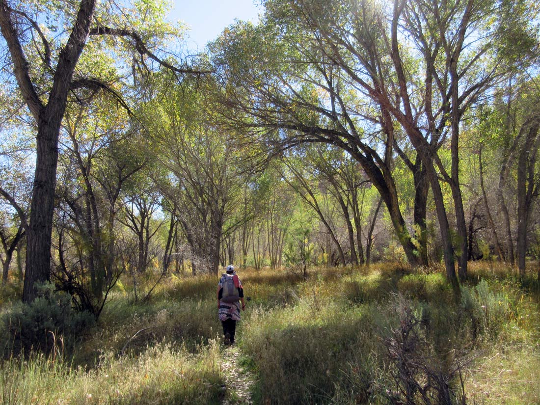 1007-IMG_2508-escalante-river