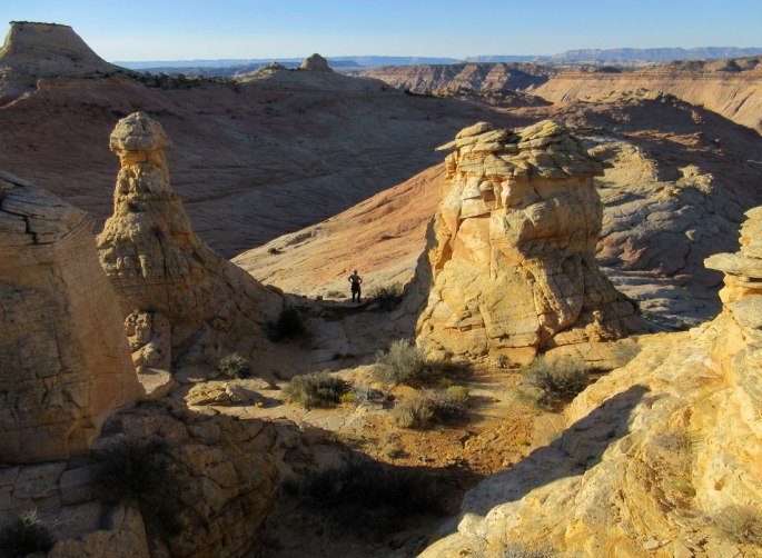 1008-IMG_2549-brigham-tea-bench-dome-climb