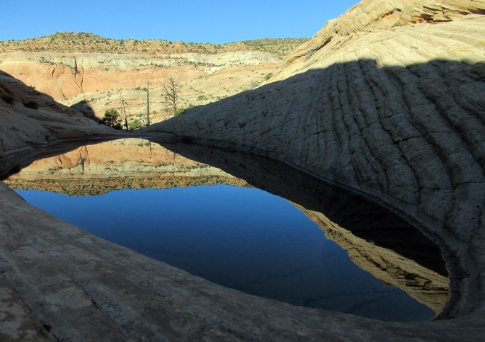 1008-IMG_2560-brigham-tea-bench-down-towards-deer-creek