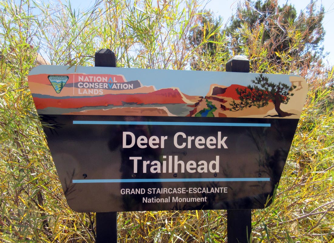 1008-IMG_2584-deer-creek