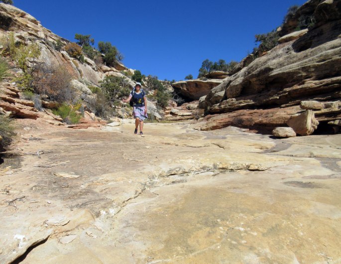 1012-IMG_2640-east-slickhorn-slickrock-near-the-top