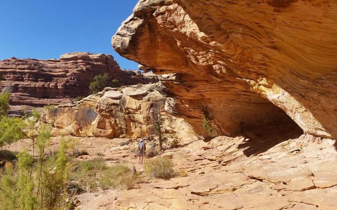 1012-IMG_2646-east-slickhorn