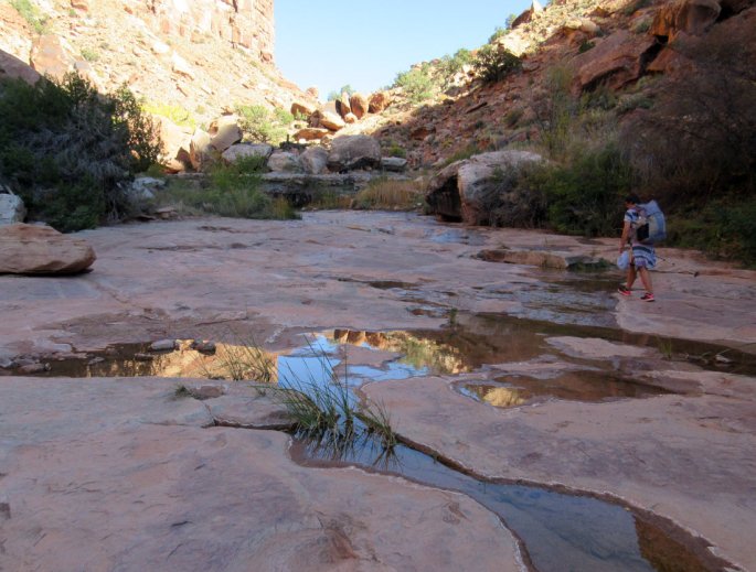 1013-IMG_2722-slickhorn-lower