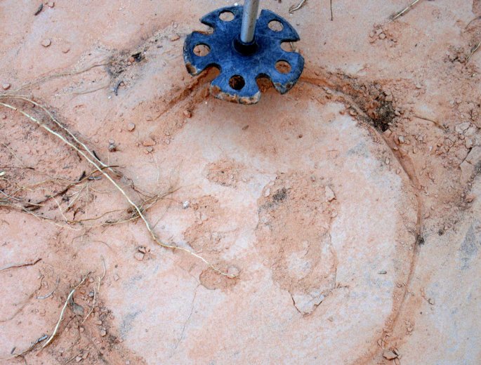 1013-IMG_2724-slickhorn-lower