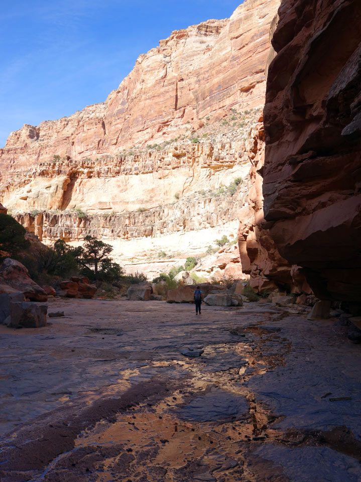 1018-66-DSC02570-youngs