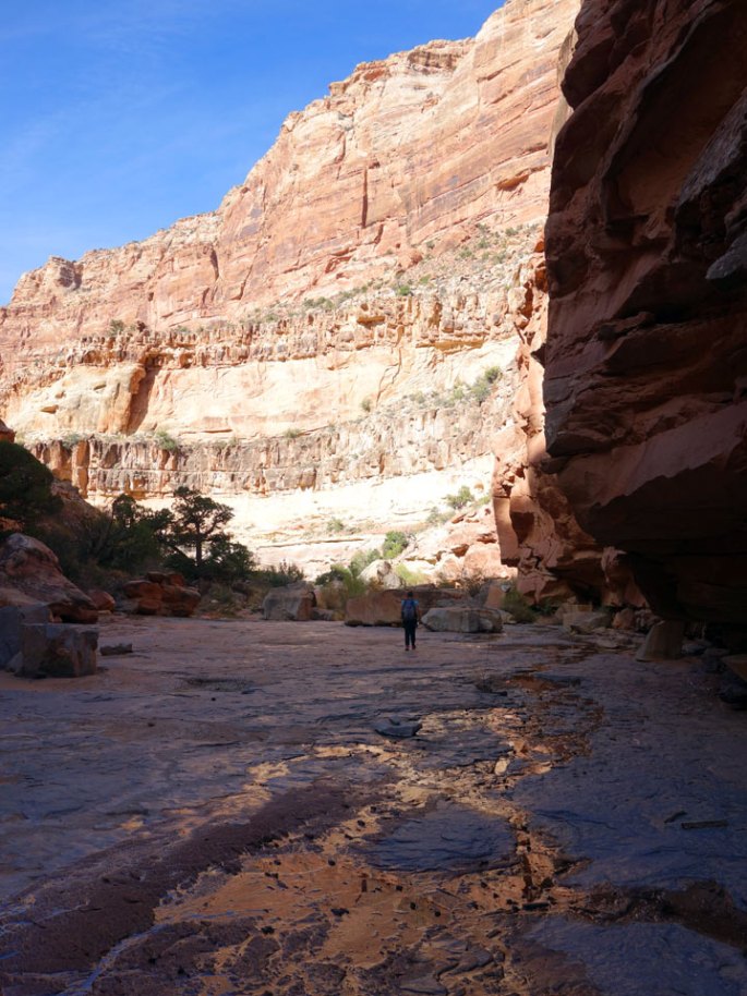 1018-66-DSC02570-youngs