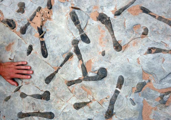 1019-95-DSC02610-dark-canyon-limestone