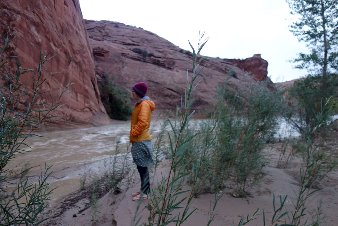 1004 098 DSC03891 harris crossing