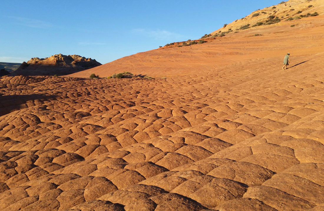 0929 061 IMG_ buckskin camp