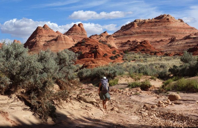 0930 096 DSC03759 back up buckskin cropped