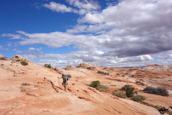 1004 197 DSC03950 north from cosmic