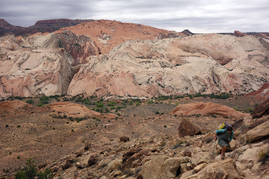 1006 052 DSC04033 halls creek overlook trail